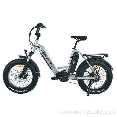 XY-GOLF Fat tire electric bike 500w motor